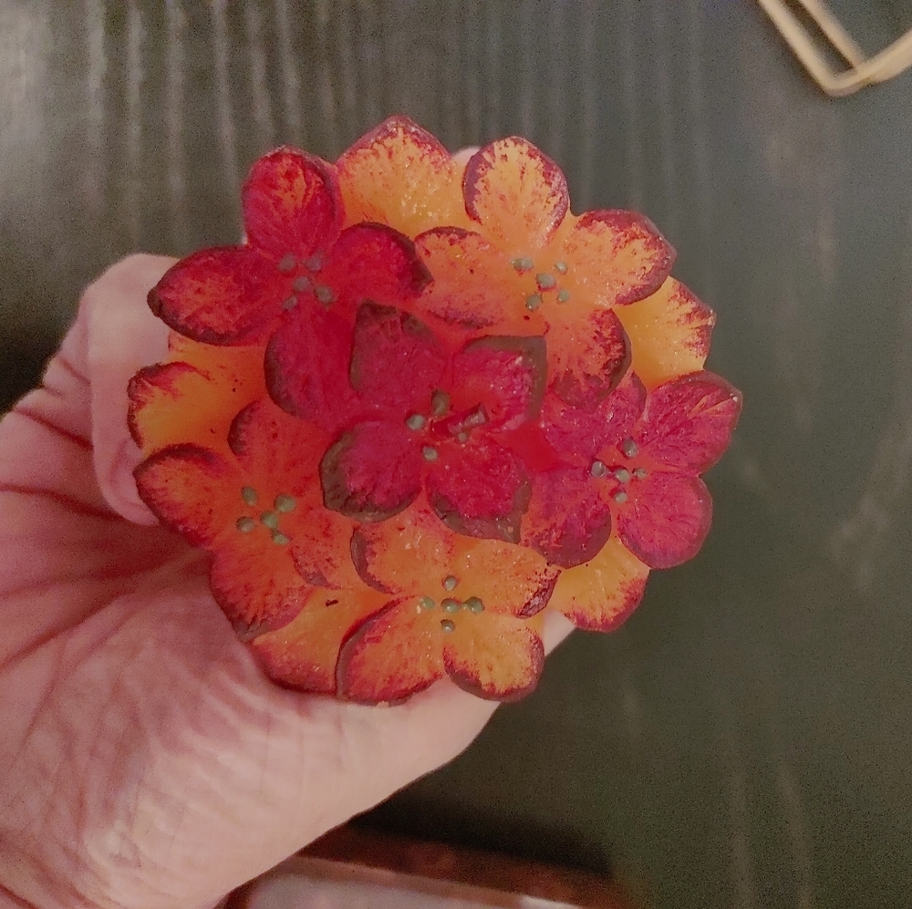 Royal Products: Floral Candles - Picture 2 of 4